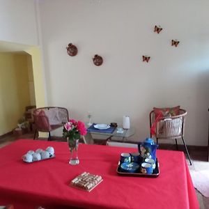 Departamento Ph Amplio Necochea Rotonda